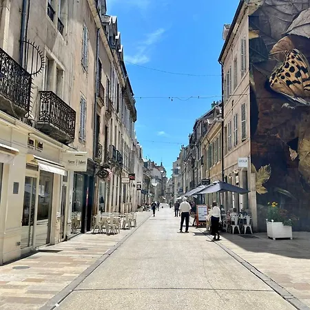 Appartement Centre Historique - Halles A 30 M Dijon