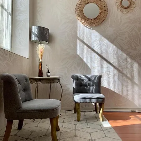Appartement Centre Historique - Halles A 30 M Dijon